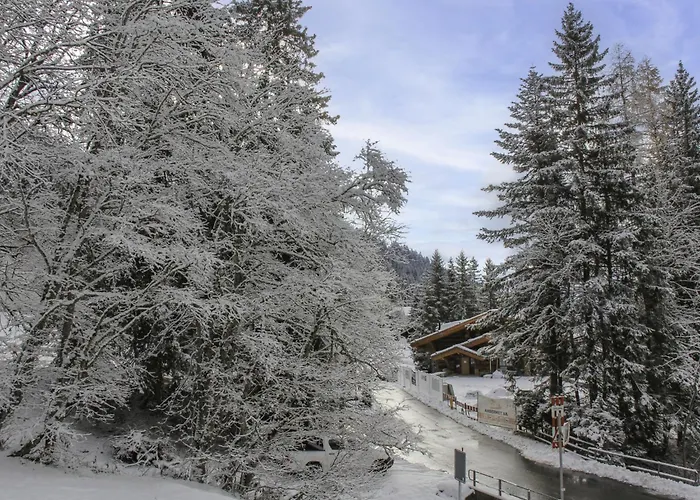 Muscardin 5-6 By Interhome Appartement Chesières