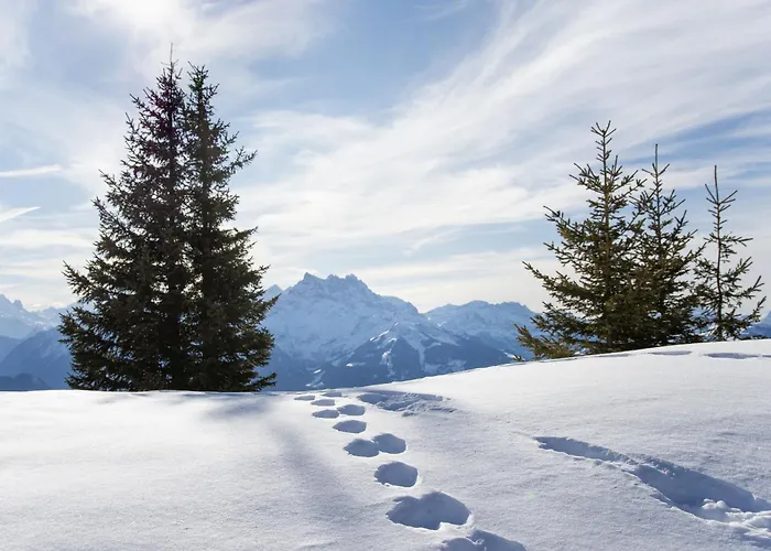 Muscardin 5-6 By Interhome Appartamento Chesières